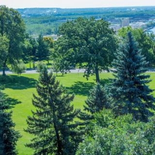 A scenic view of a lush green park with various trees and distant hills.