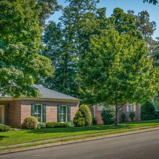 A quiet suburban neighborhood with brick houses and lush green trees lining the street.