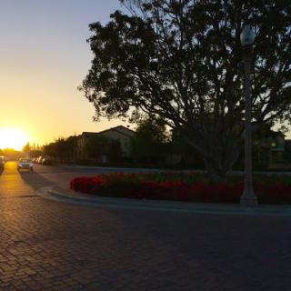 A tranquil sunset over a scenic road, framed by lush trees and vibrant flowers.