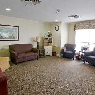 A cozy living room with sofas, chairs, and a window letting in natural light.