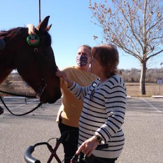 Two individuals enjoying a moment with a horse in an outdoor setting.