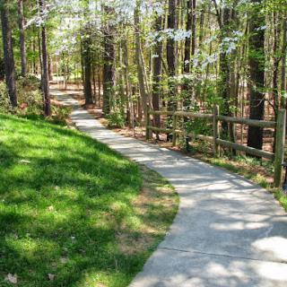 A winding concrete pathway through a lush, green forest, inviting exploration.