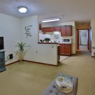 An open floor plan living room with a view into the kitchen, featuring modern furnishings and an indoor plant.
