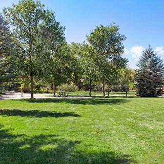 A scenic park with lush green grass and tall trees under a clear blue sky.