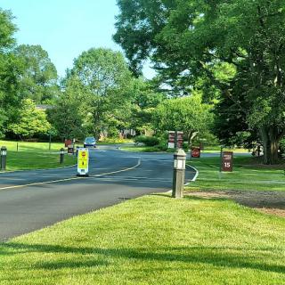 A peaceful park road lined with lush greenery and trees, inviting visitors to explore.