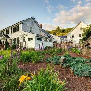 A charming residential area with well-maintained gardens and houses under a sunny sky.