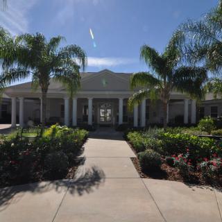 A sunny view of a building entrance lined with palm trees and well-maintained landscaping.