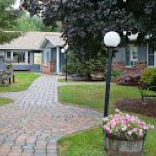 A cozy house with a brick pathway, surrounded by a well-maintained garden featuring flowers and trees.