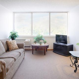 A bright living room with a sofa, TV, and plants near a large window.