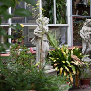 A lush greenhouse featuring classical statues surrounded by vibrant greenery.