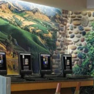 A row of public computers set against a scenic mural in a library.