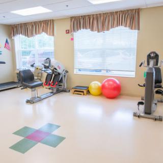 A well-equipped rehabilitation gym featuring exercise machines and stability balls.