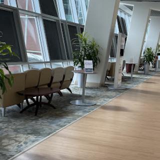 A modern waiting area featuring comfortable seating and decorative plants.