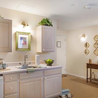 A cozy kitchen interior with light-colored cabinets, a sink, potted plants, and decorative wall art.