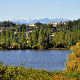 A serene view of a lake surrounded by lush greenery and distant mountains.