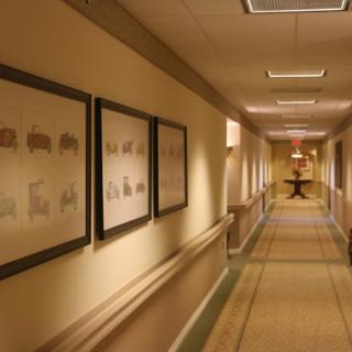 A quiet hotel hallway adorned with framed artwork and soft lighting.