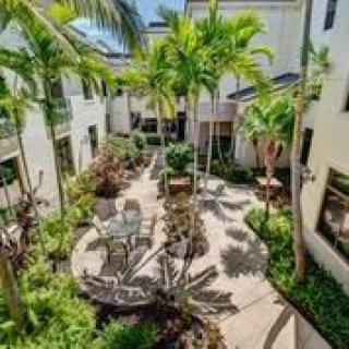 A tranquil courtyard featuring lush tropical plants and cozy outdoor seating.