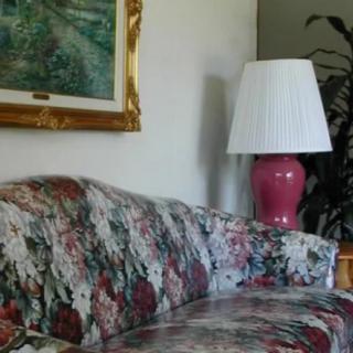 A cozy living room corner featuring a floral-patterned sofa, a vibrant pink lamp, and a framed painting on the wall.