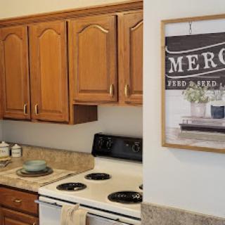 A cozy kitchen featuring wooden cabinets and a stylish decor piece.