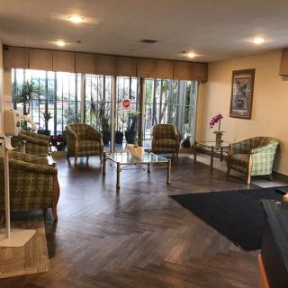 A cozy waiting area with comfortable seating, tables, and plants by large windows.