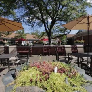 An inviting outdoor patio area with tables, chairs, and umbrellas surrounded by lush greenery on a sunny day.