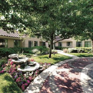 A serene garden landscape with a pathway, surrounded by flowers and trees.