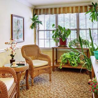 A cozy living room with wicker chairs and abundant natural light, decorated with green plants.