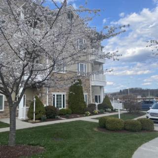 A serene view of a residential building adorned with blooming cherry blossoms in the foreground.