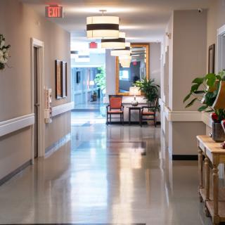 A well-lit, modern hallway with decorative plants and furnishings.