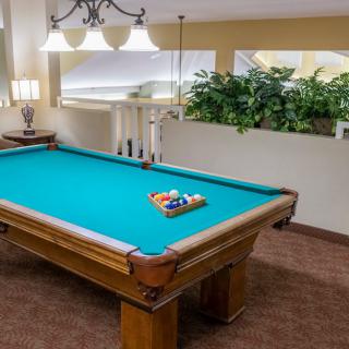 A billiards room with a pool table, overhead lighting, and decorative plants.