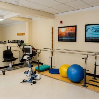 A physical therapy room featuring exercise equipment, parallel bars, and therapy balls.