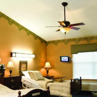 A cozy bedroom with two hospital beds, stylish lamps, a ceiling fan, and a small television.