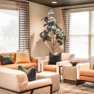 A stylish and modern living room featuring comfortable seating, decorative cushions, and a touch of greenery.