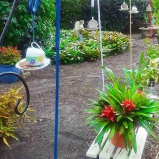 A vibrant garden with a swing adorned with plants and flowers.