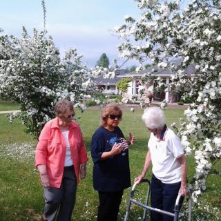 Three women enjoying a garden with blooming trees.