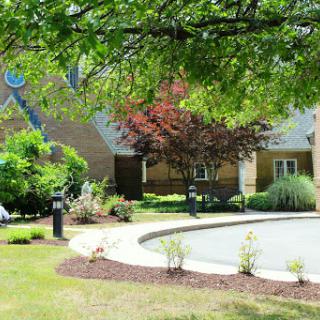 A serene residential garden showcasing lush greenery and a well-maintained lawn.