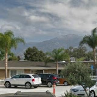 A view of a parking area with various vehicles, surrounded by palm trees and mountains under a cloudy sky.