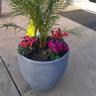A vibrant planter featuring a palm and colorful flowers, enhancing the outdoor space.