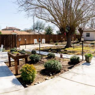 A landscaped backyard featuring a variety of shrubs and trees, with a patio and wooden fence in the background.