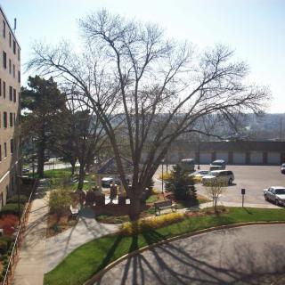 A sunny day with a large tree casting long shadows near a parking lot and building.