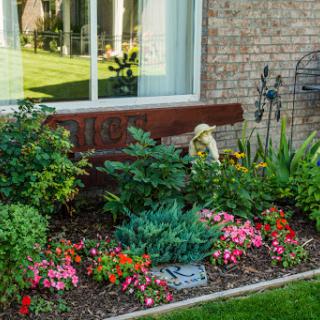 A vibrant garden scene featuring a variety of colorful flowers and lush greenery beside a home window.