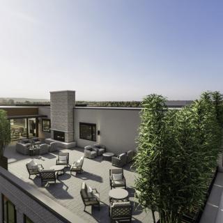 A modern rooftop with comfortable outdoor seating and lush greenery under a clear sky.