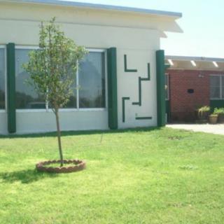 A small house with a well-maintained lawn and a young tree in the front yard.