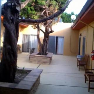 A serene courtyard with trees and seating areas in an outdoor setting.