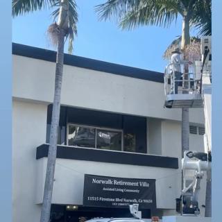 A building with a prominent sign, surrounded by palm trees, with a lift and workers in front.