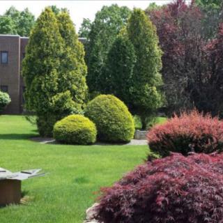 A beautifully landscaped garden with lush greenery, trees, and well-maintained shrubs.