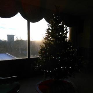 A beautifully decorated Christmas tree stands by the window, with the sunset casting a warm glow.