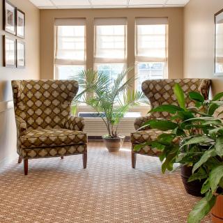 A cozy lounge area with two patterned chairs, potted plants, and sunlight streaming through the windows.