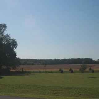 A serene landscape with a grassy field, trees, and a clear blue sky.