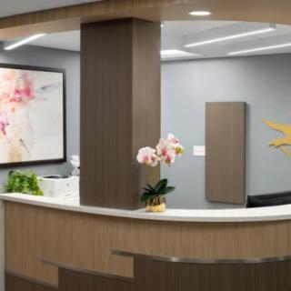 A modern reception area featuring a curved front desk, decorative plants, and contemporary artwork.